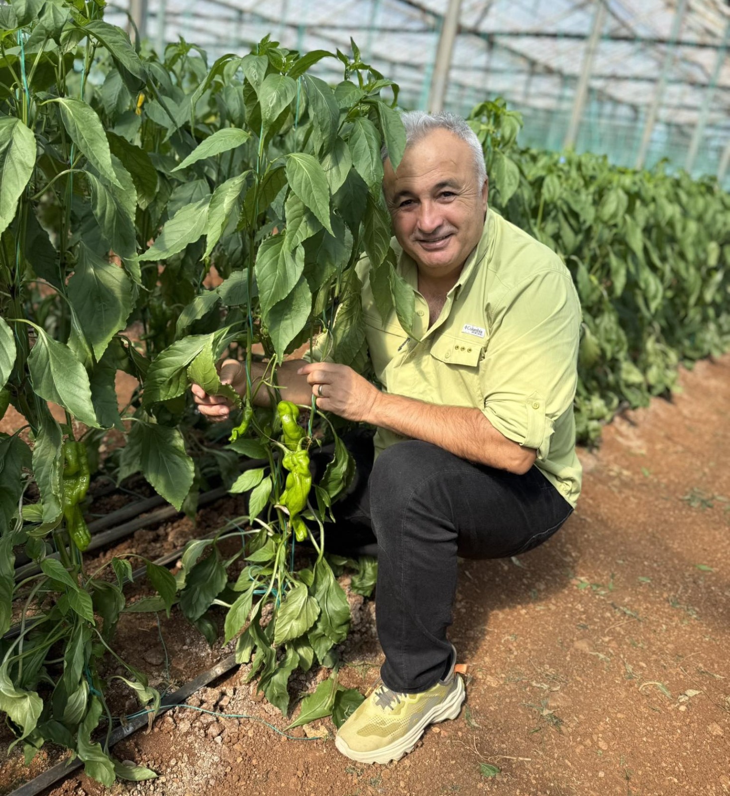 Emona Gıda Saglıgı (4)