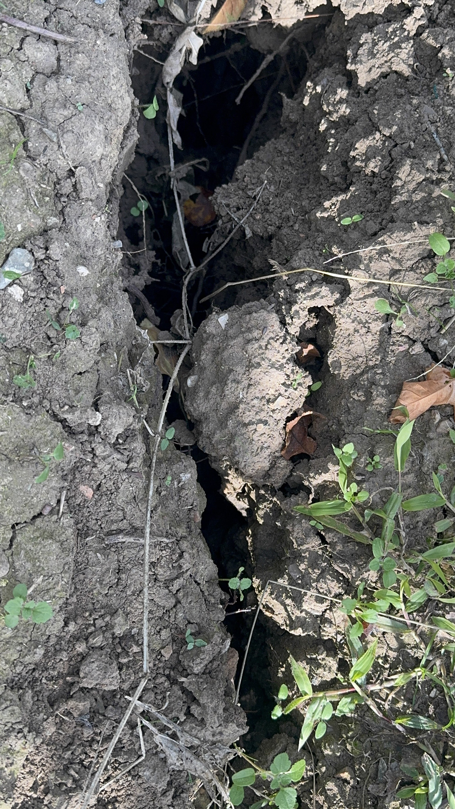 Evlerin Duvarları Çatladı (5)