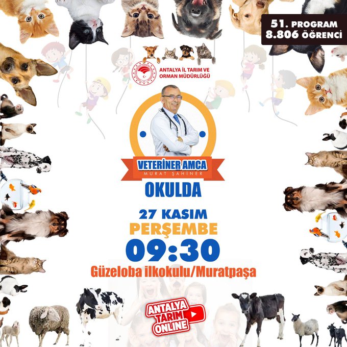 G6L W08X W U A Al Vi N