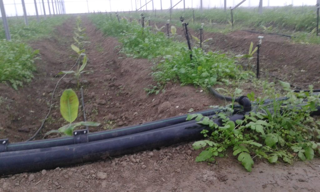 Getirmediği Suyun Parasını Istiyor (3)