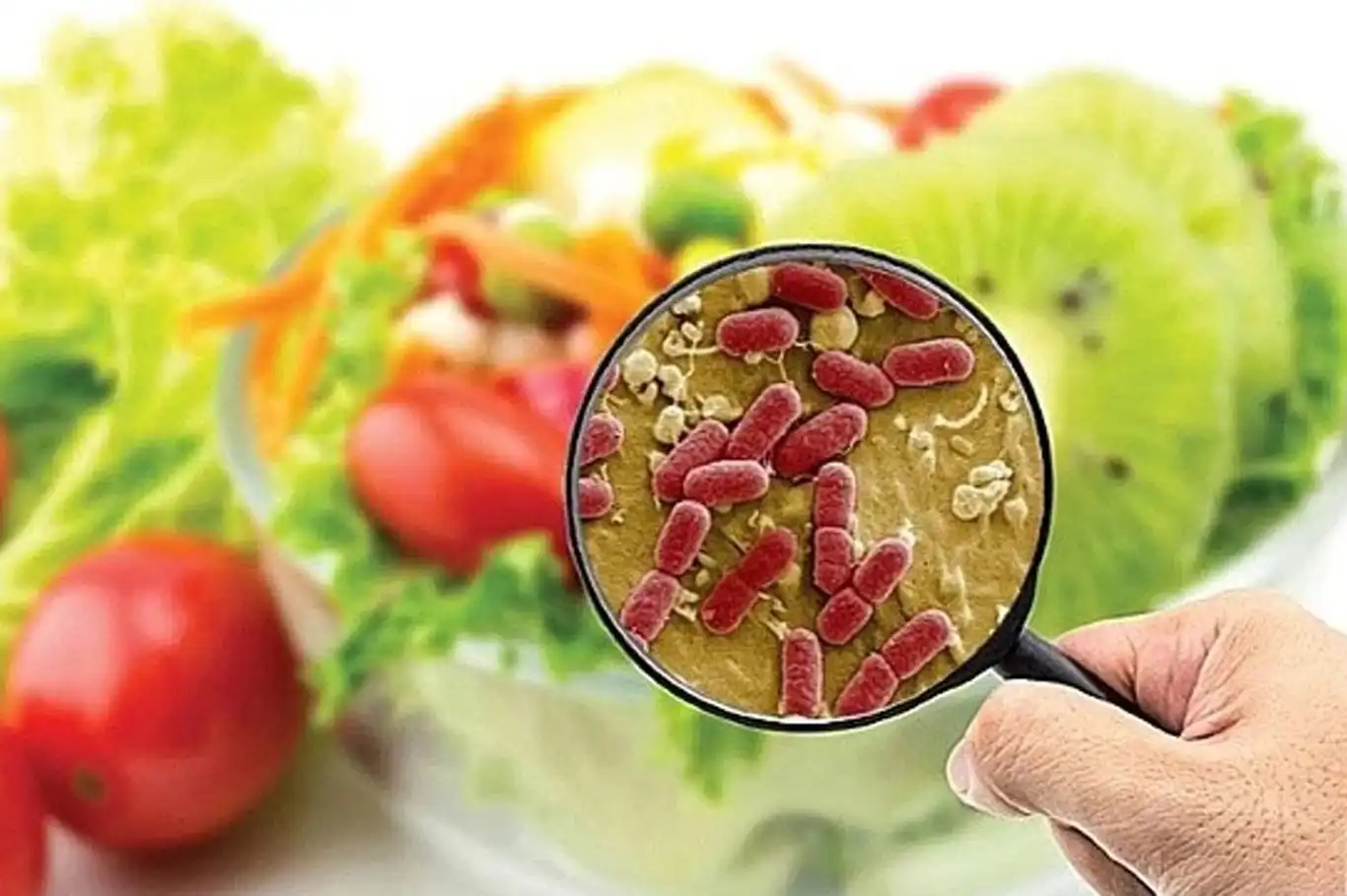 Gida Zehirlenmesi Kimya Muhendisleri Odasi (1)-1