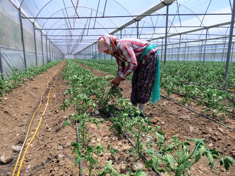 Girdiler Endise Yaratıyor (1)