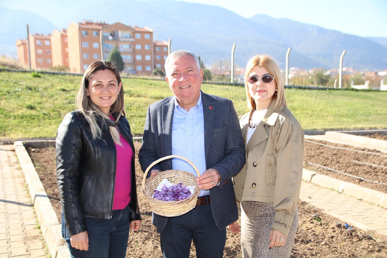 Honaz Belediyesi Yerel Tohum Merkezi’nde Safran Soğanları Filizlenmeye Başladı (1)