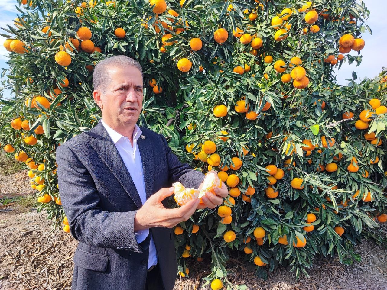 Iscilerin Grevleri Fiyatlar Dusurdu (3)