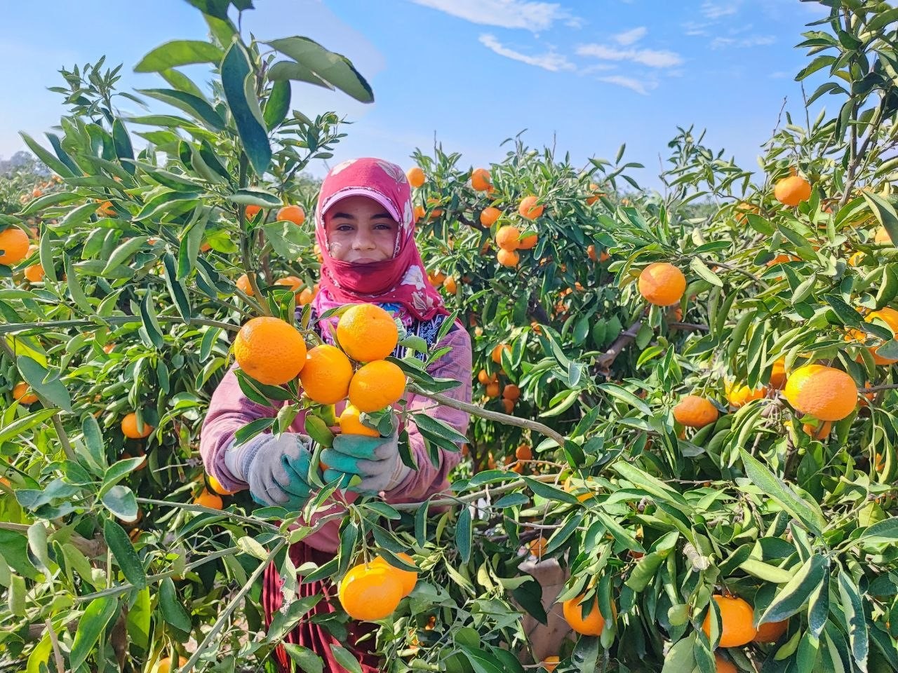 Iscilerin Grevleri Fiyatlar Dusurdu (5)