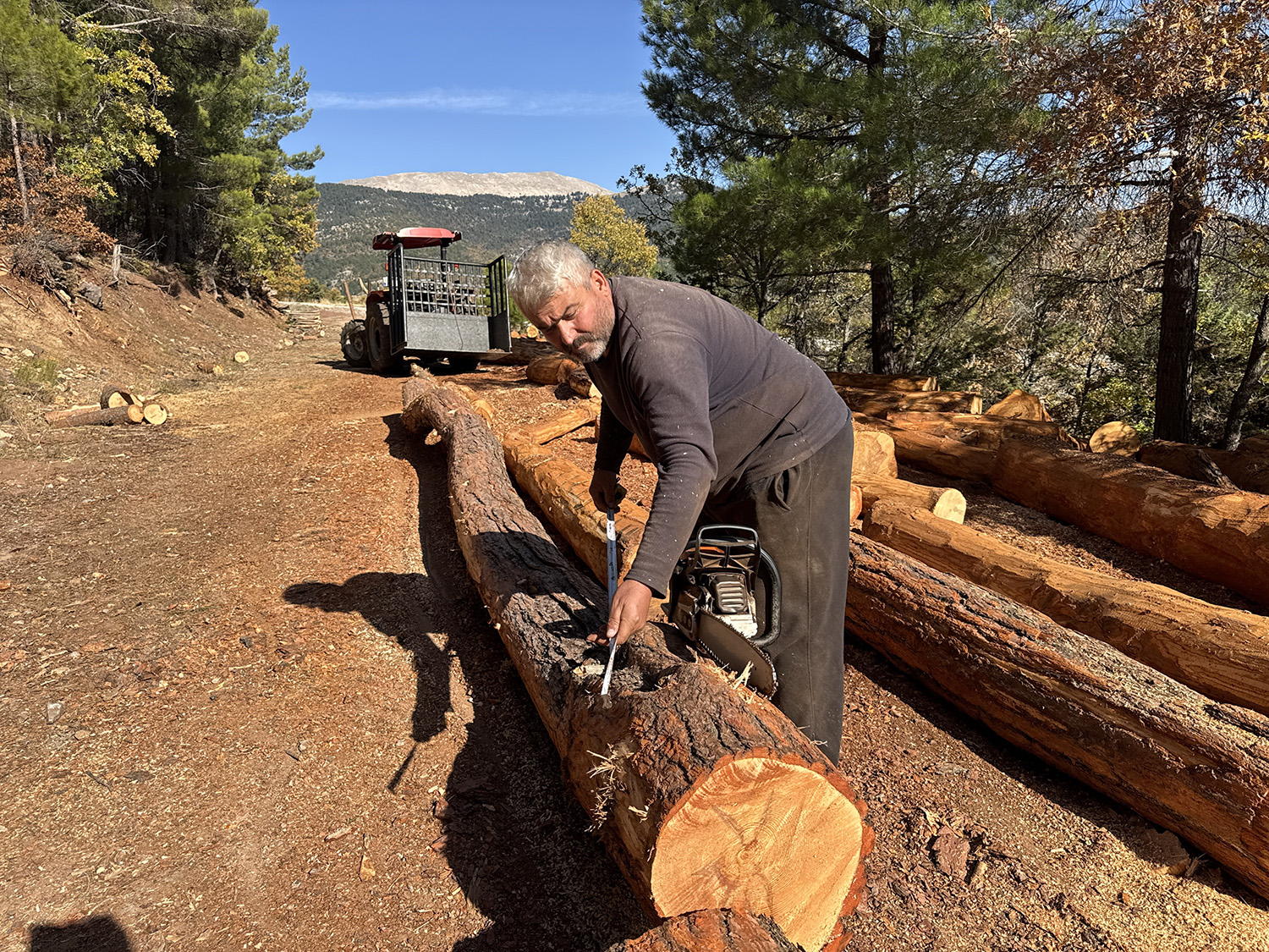 Karı Kocanın Geçim Kaynağı Orman Oldu (1)
