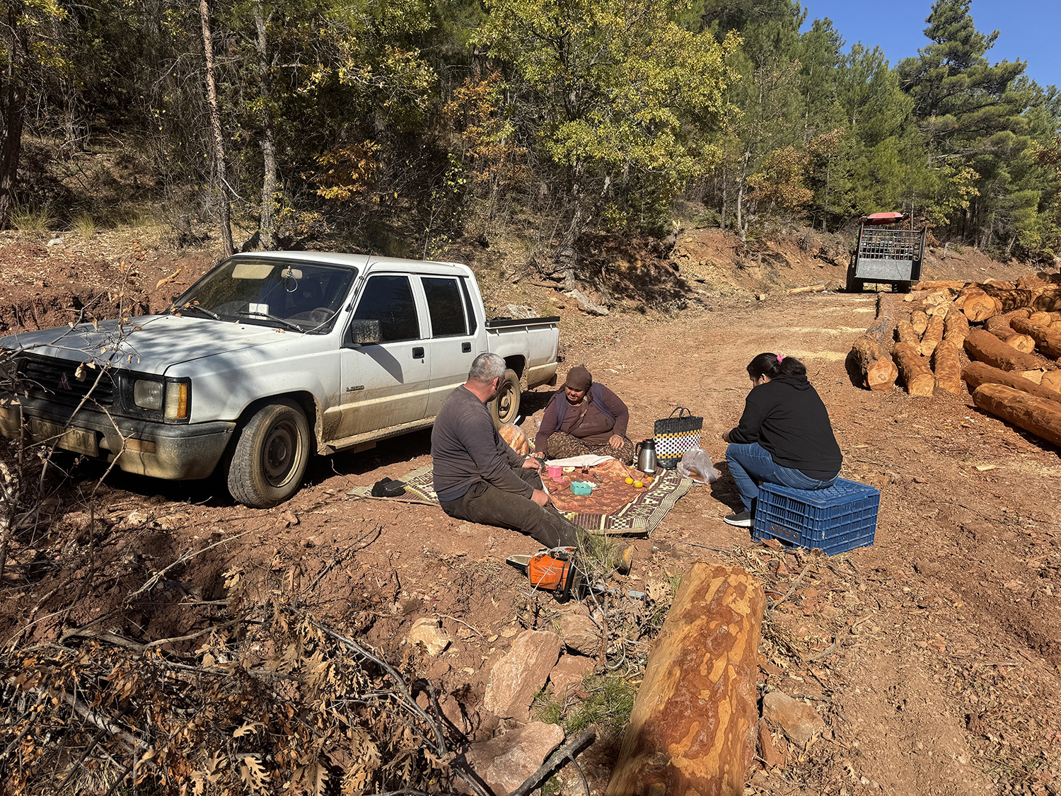 Karı Kocanın Geçim Kaynağı Orman Oldu (4)