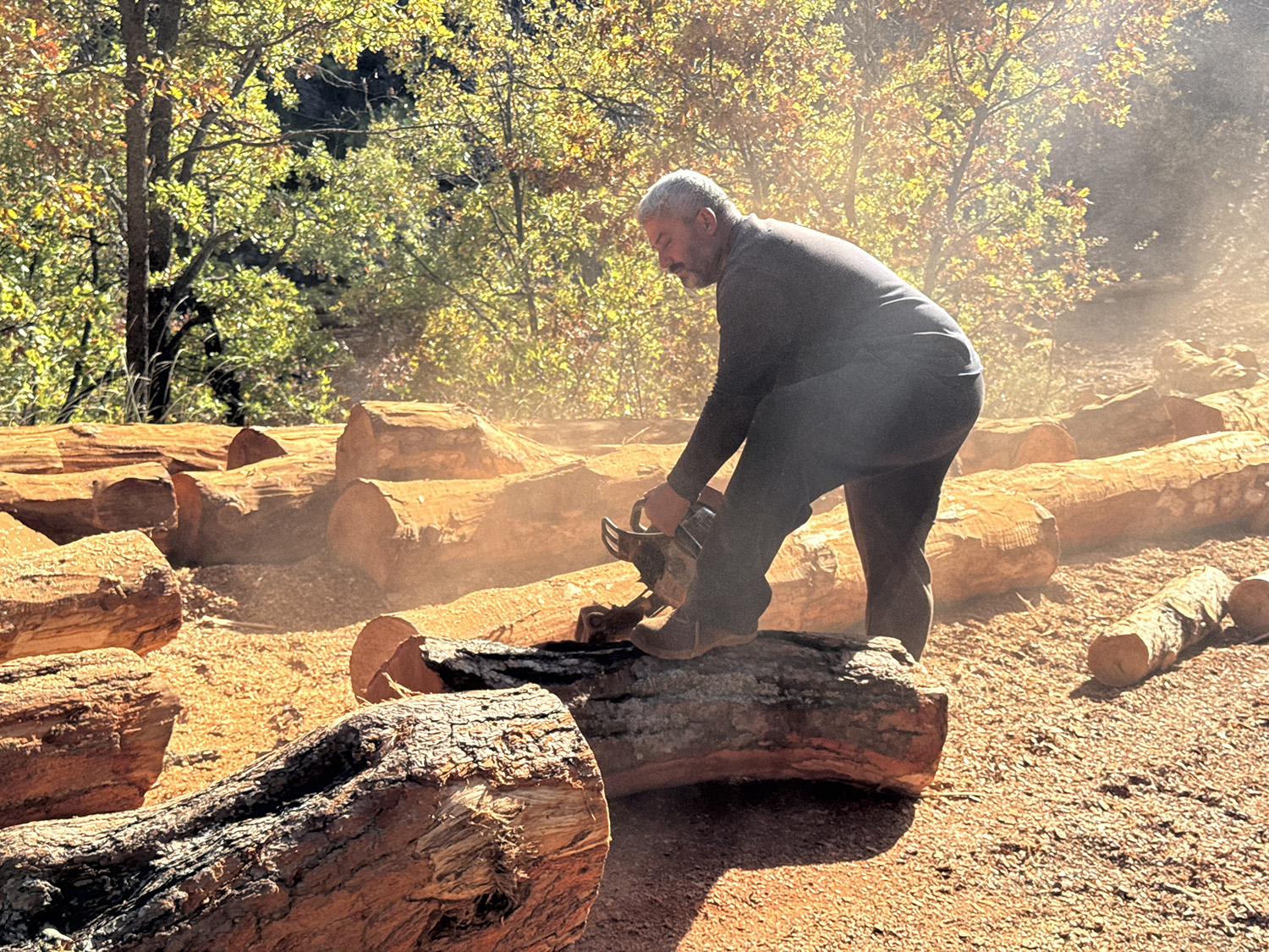 Karı Kocanın Geçim Kaynağı Orman Oldu (7)