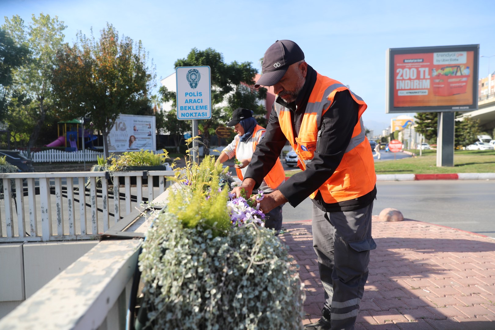 Kentin Dört Bir Yanına Kışlık Çiçek (5)