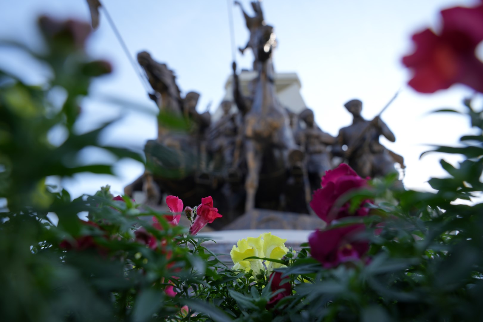 Kentin Dört Bir Yanına Kışlık Çiçek (6)