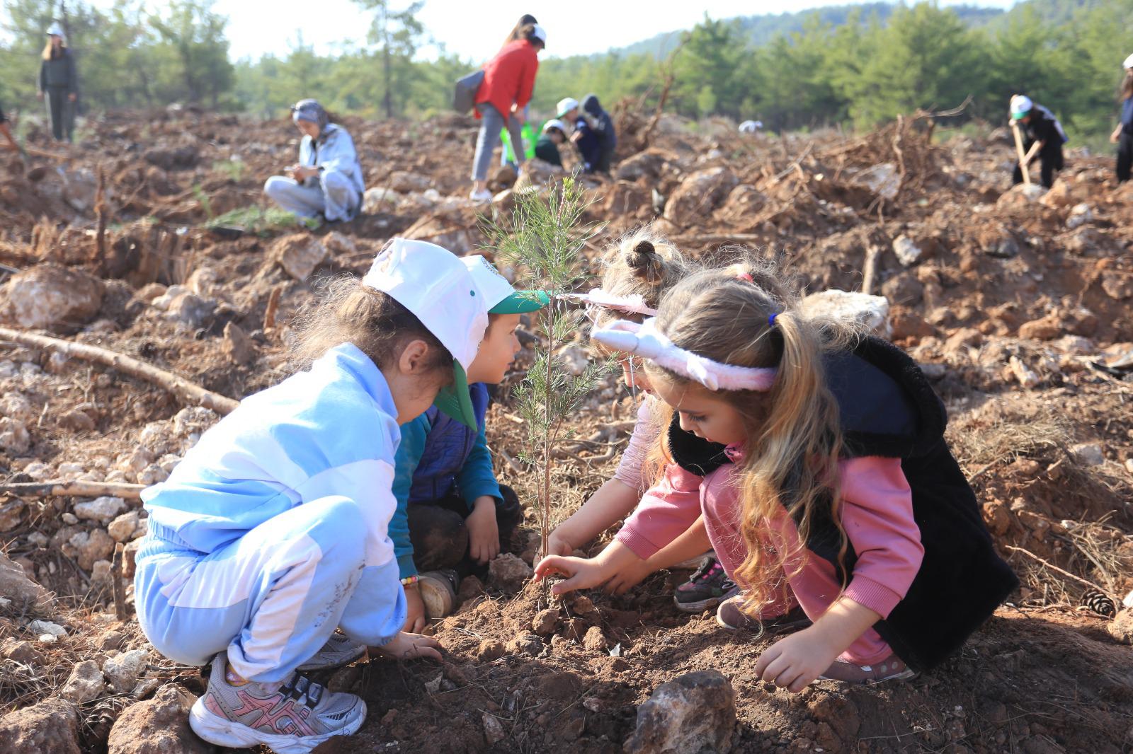 Kepezli Minikler, Yangin Sonrasi Orman Alanina Umut Dikti 3