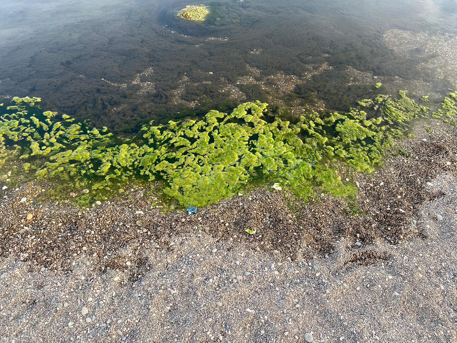 Konyaaltı Sahili (1)-3