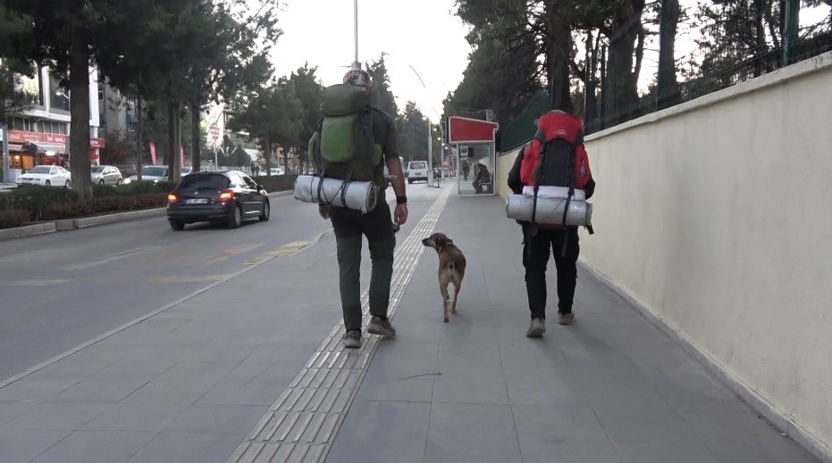 Köpeği Ile Birlikte Tüm Türkiye'yi Gezip Fidan Dikiyor (5)