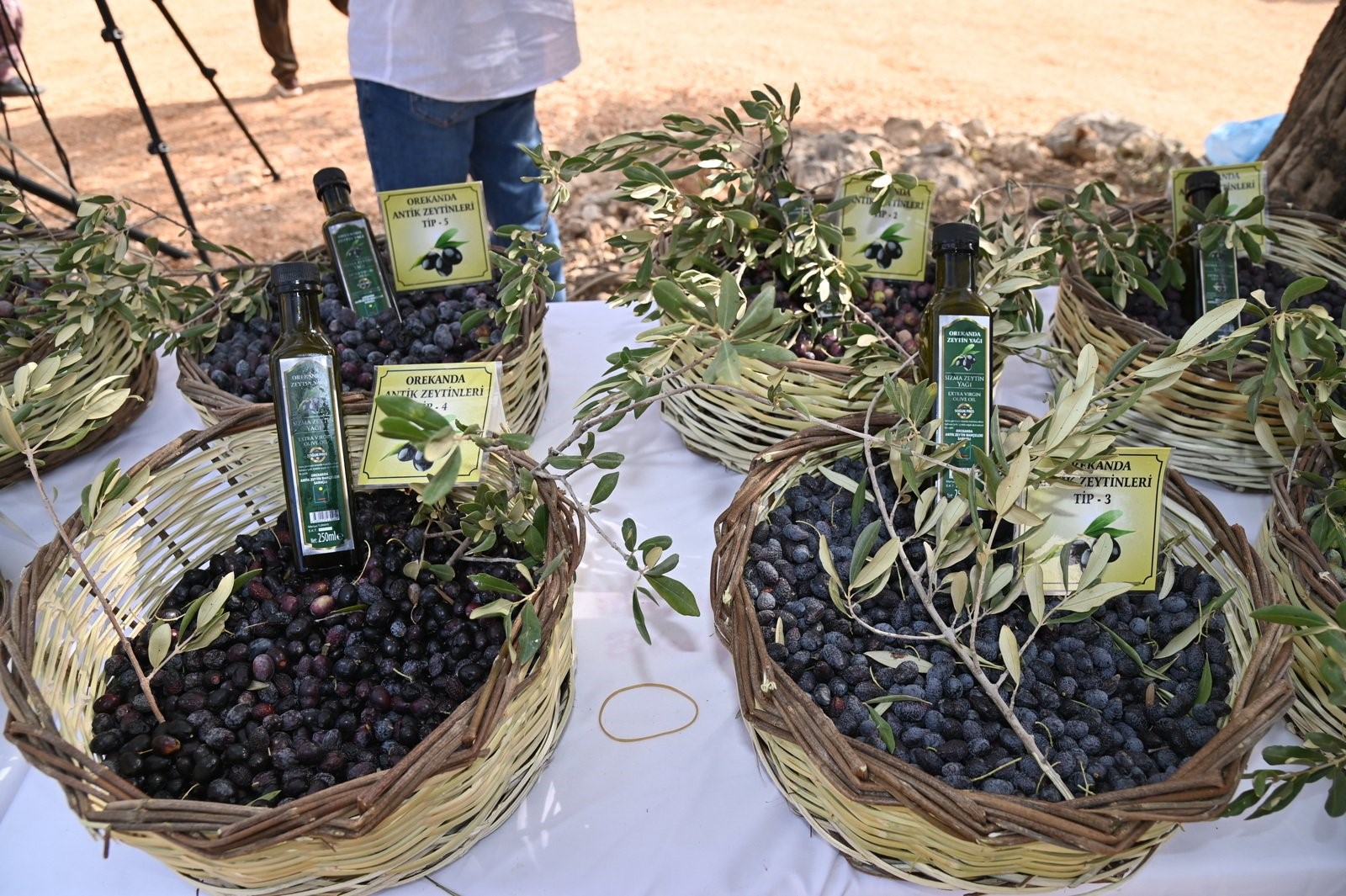 Manavgat Zeytin Ve Zeytinyağı Festivali'nin Ikincisi Yarın Başlıyor (7)