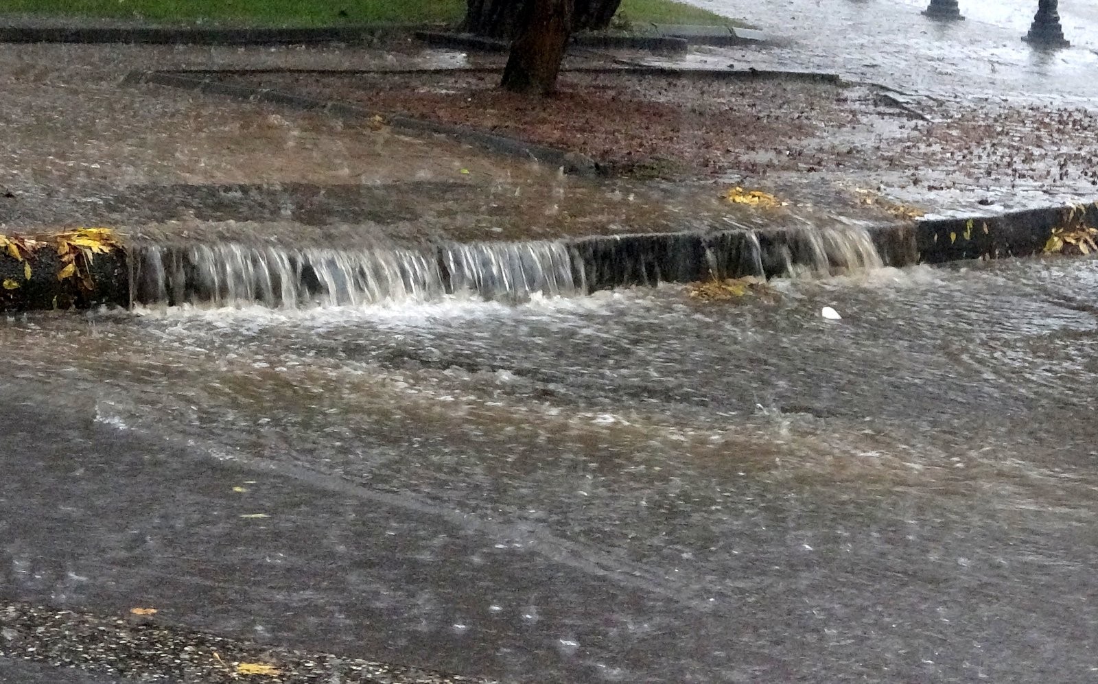 Menteşe Şiddetli Yağmur 04