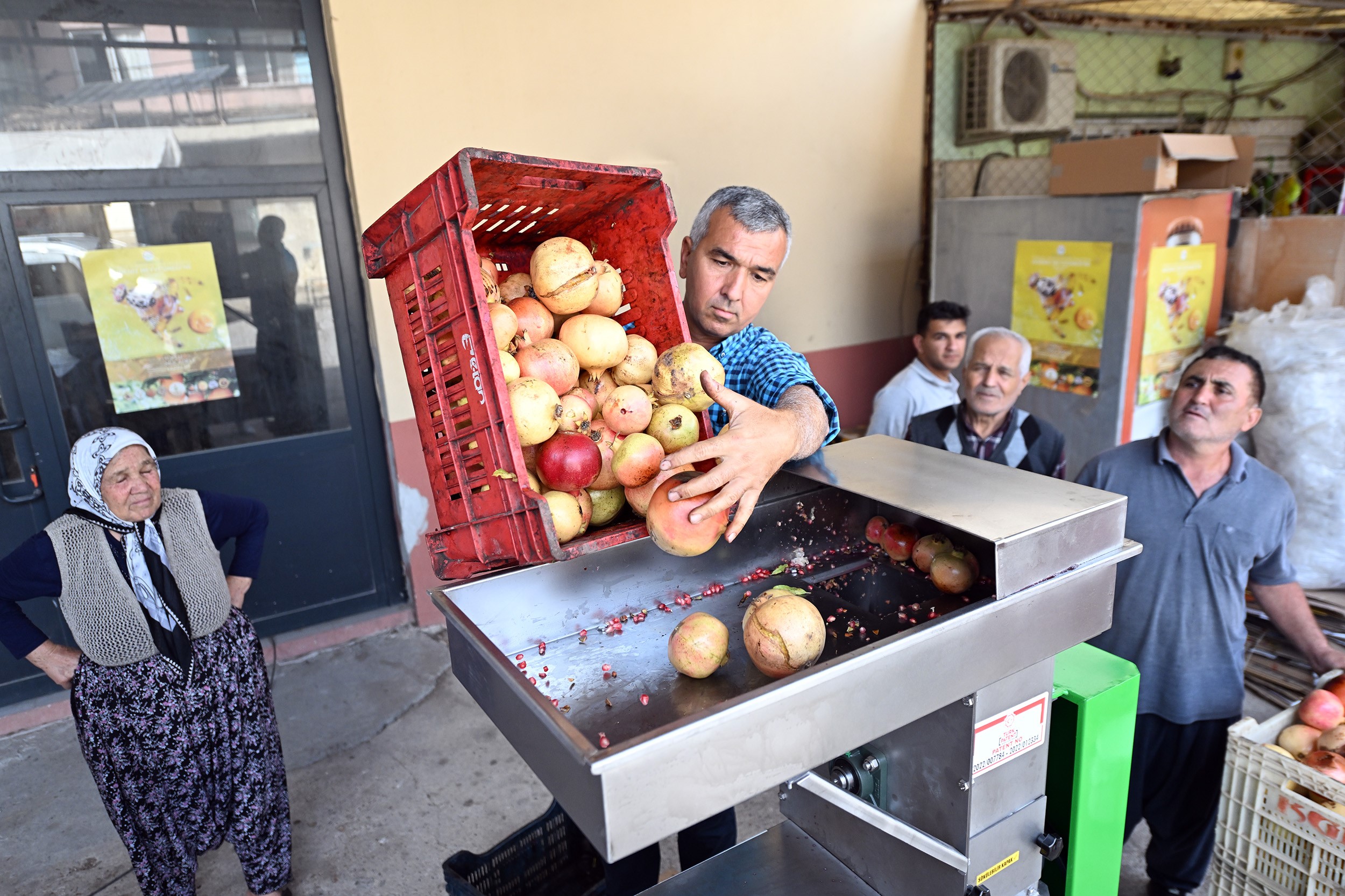 Mersinde Nar Üretimine Destek (1)