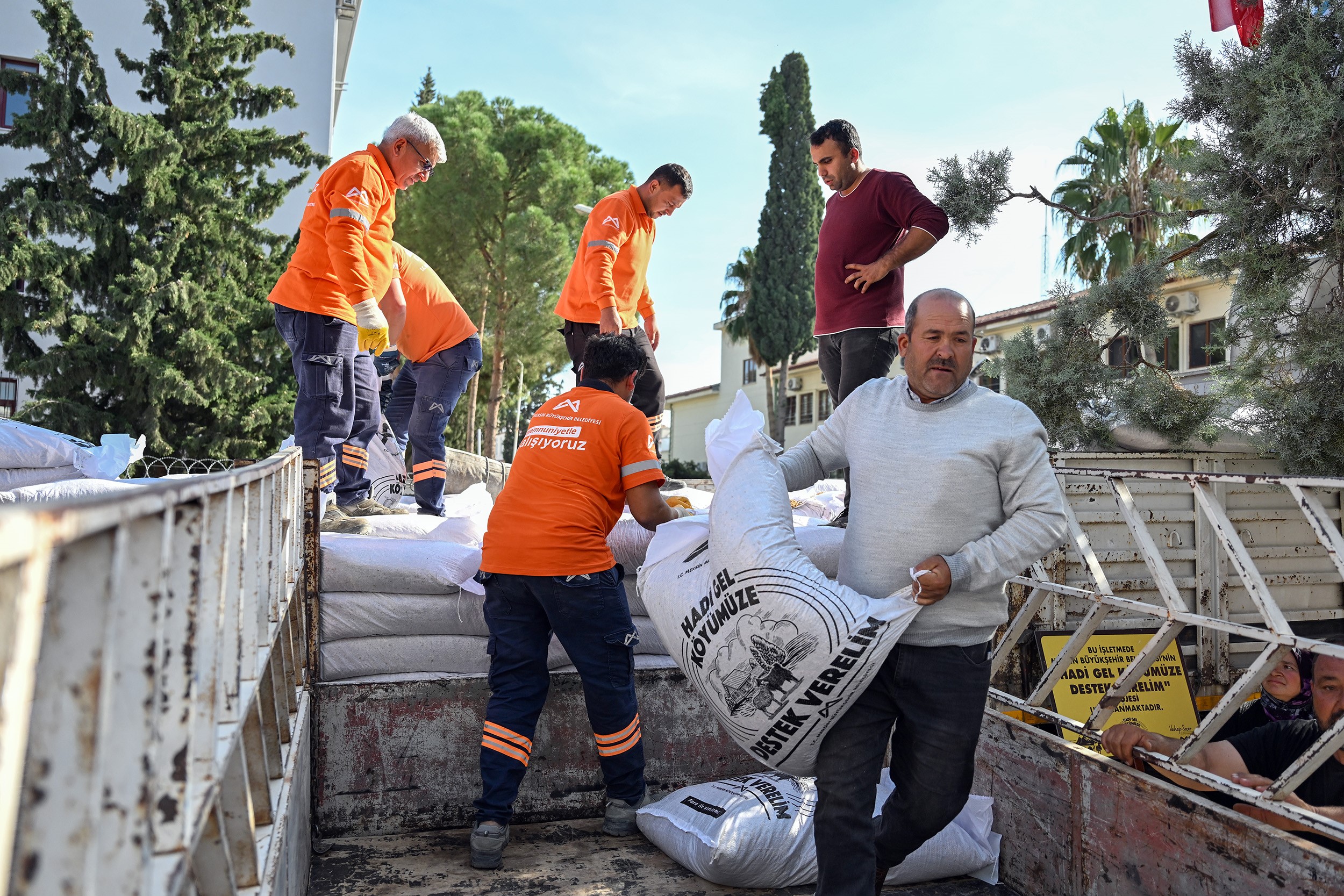 Mersin'de Yem Ve Küçükbaş Desteği Üreticiyi Güçlendiriyor (1)