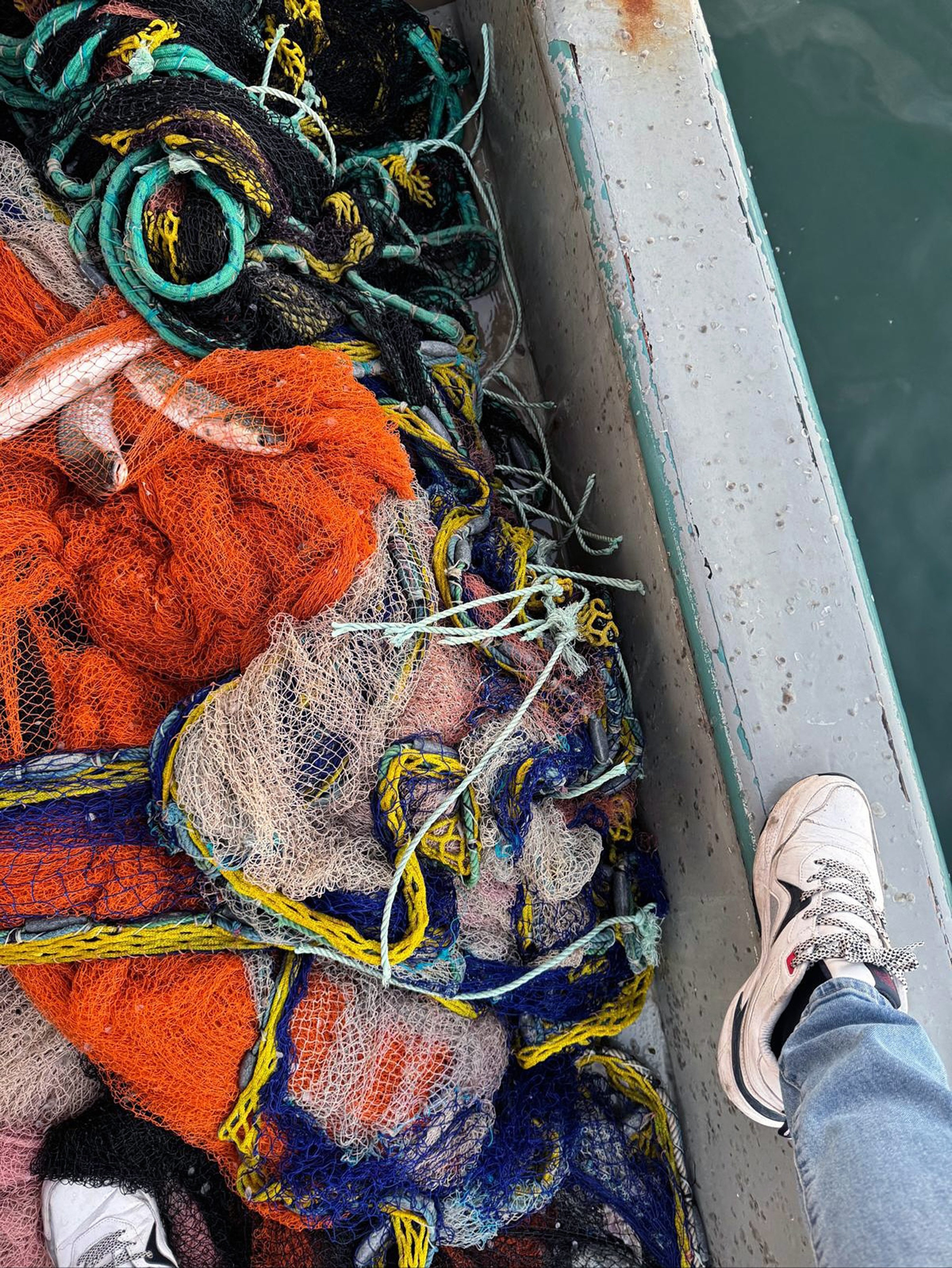 Muğla’da Yasal Olmayan Ağ Ile Avlanan Balıklara El Konuldu (3)