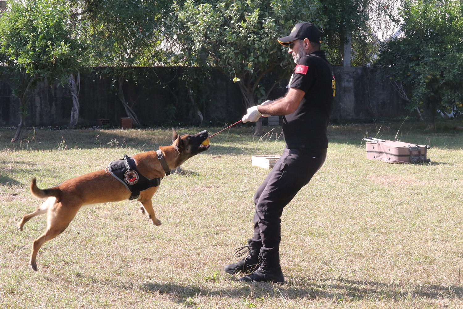 N A R K O T I K K O P E K L E R I N I N S I R A D I S I E G I T I M I 1014482 301027