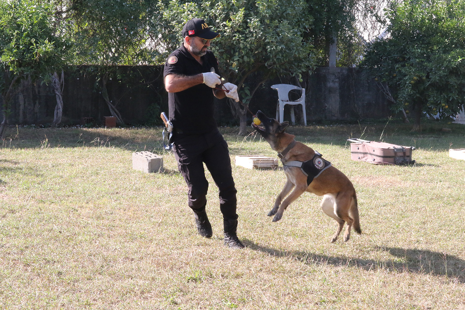 N A R K O T I K K O P E K L E R I N I N S I R A D I S I E G I T I M I 1014483 301027