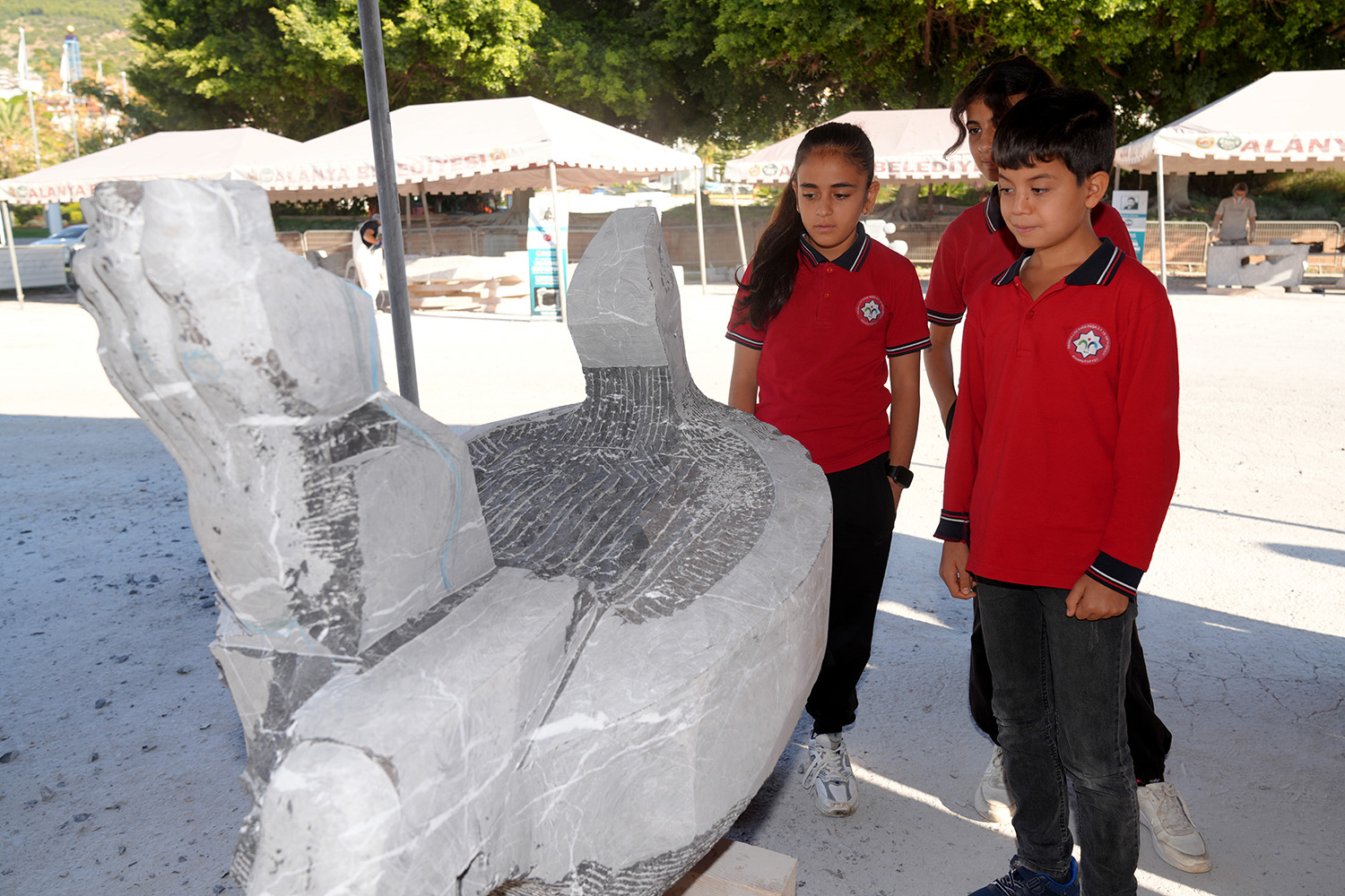 O G R E N C I L E R S A N A T L A B U L U S T U 1021068 302985