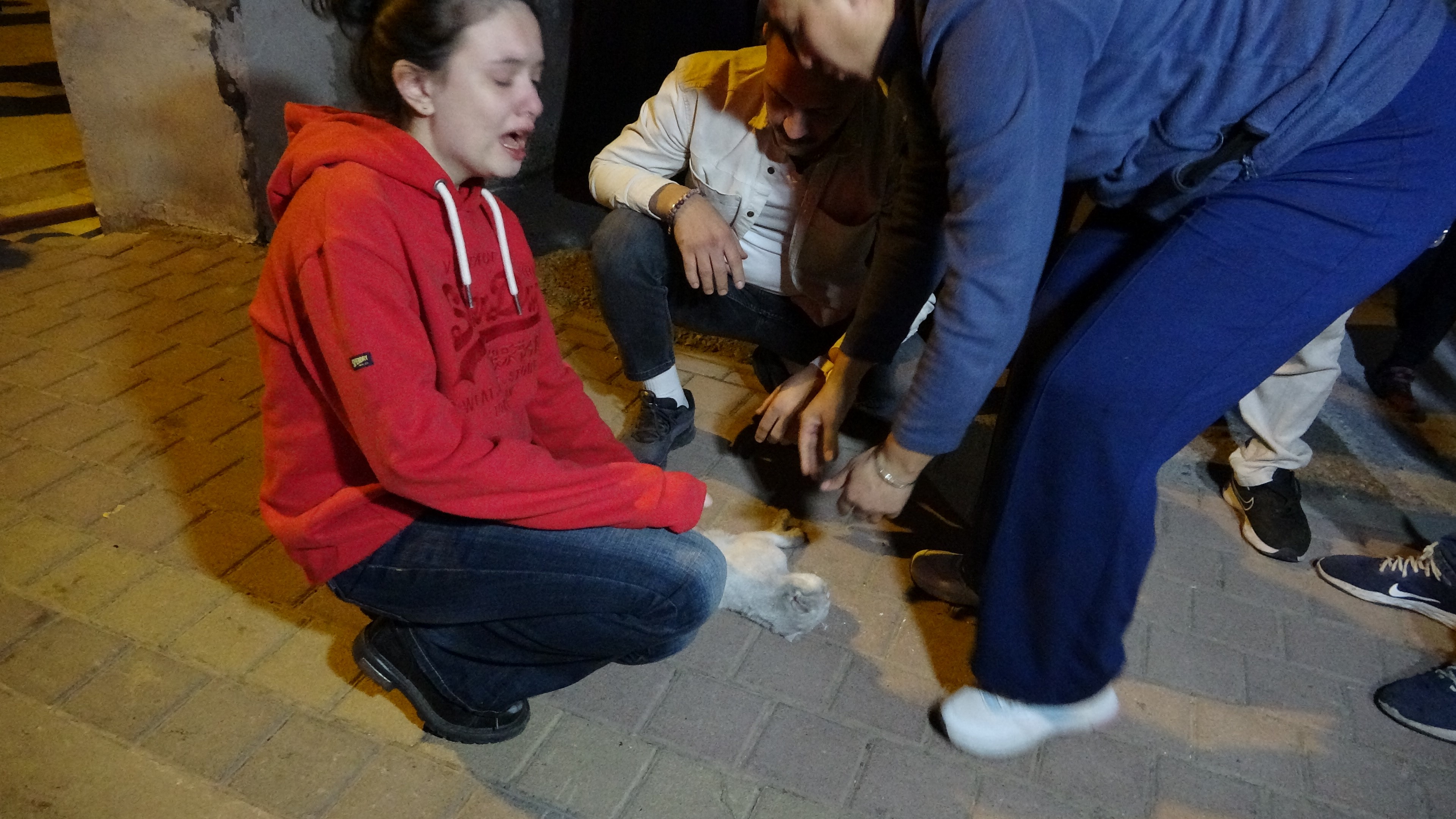 Sahipleri Gözyaşlarına Boğuldu (1)