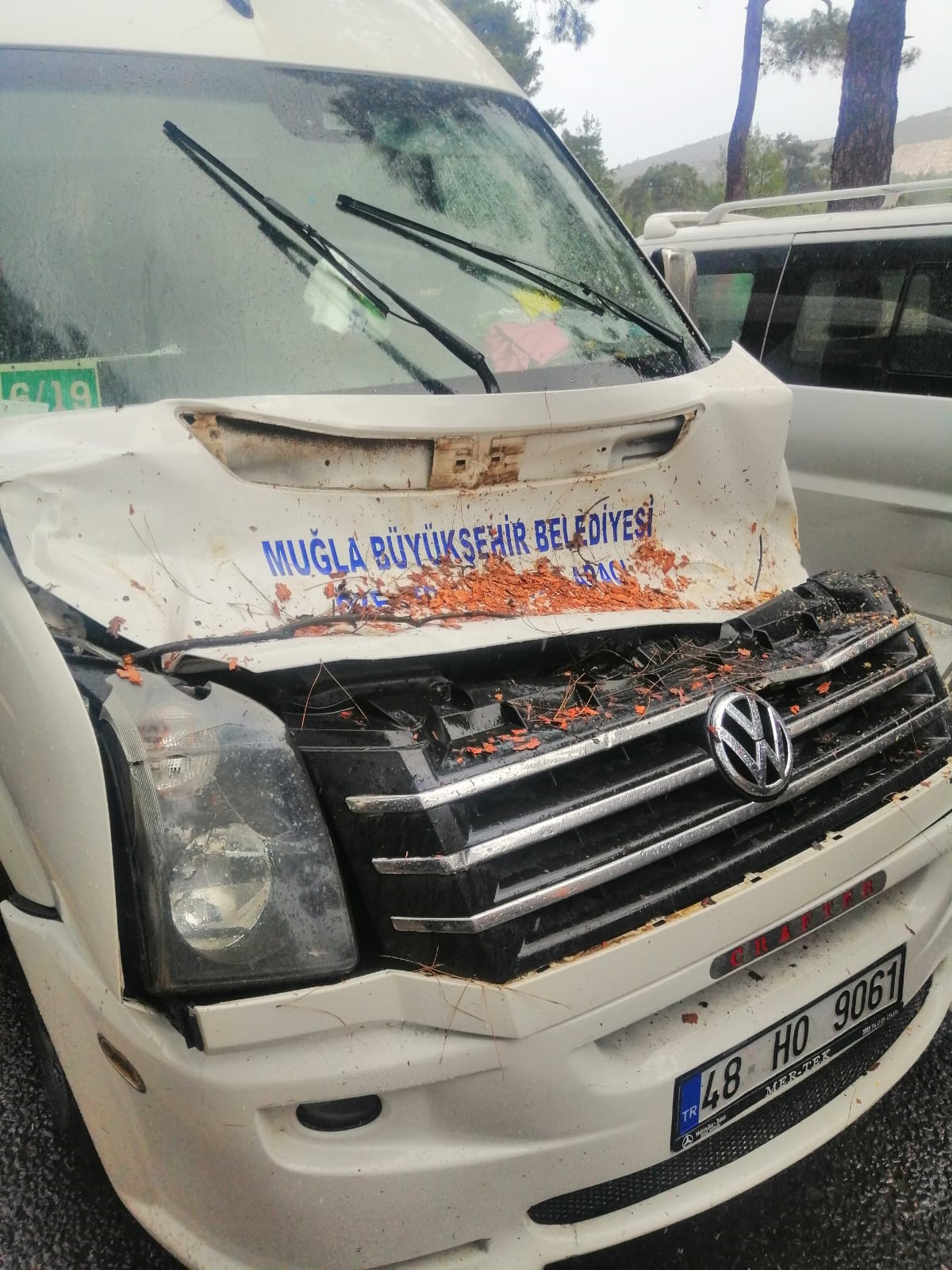 Seyir Halindeki Minibusun Ustune Agac Devrildi (1)