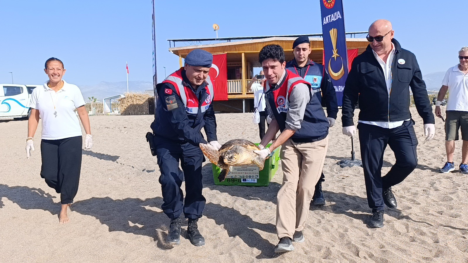 Tedavisi Tamamlanan Caretta Caretta Denizin Maviliğine Kulaç Açtı (2)