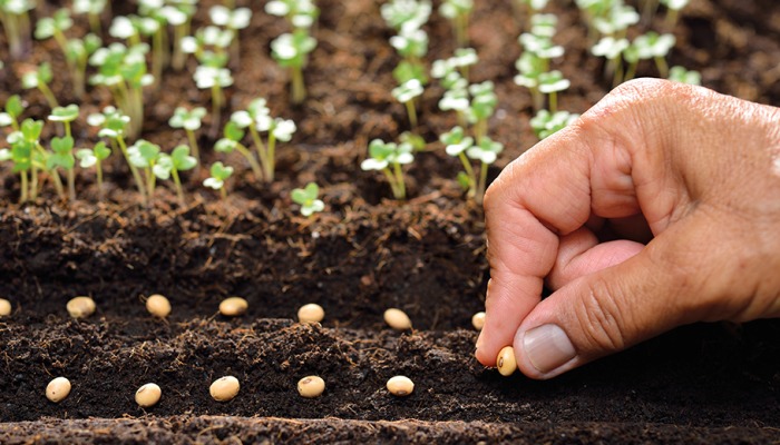 Türkiye O Sektörde Avrupa’yı Domine Ediyor (1)