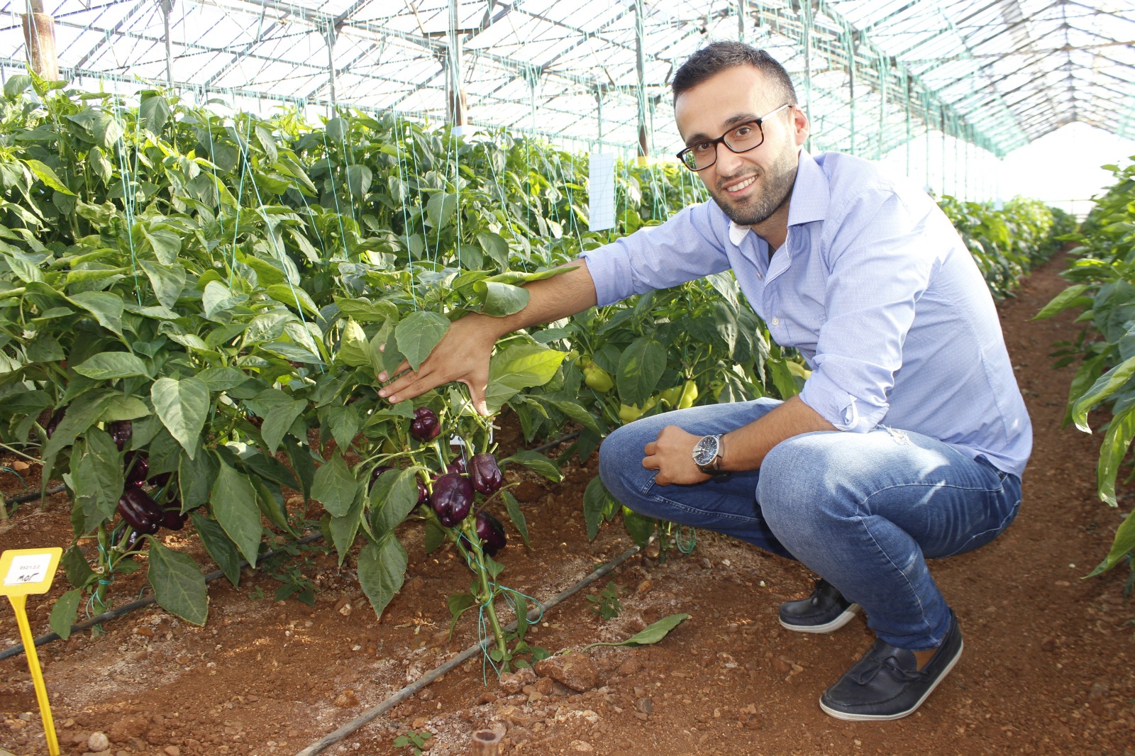 Türkiye O Sektörde Avrupa’yı Domine Ediyor (3)