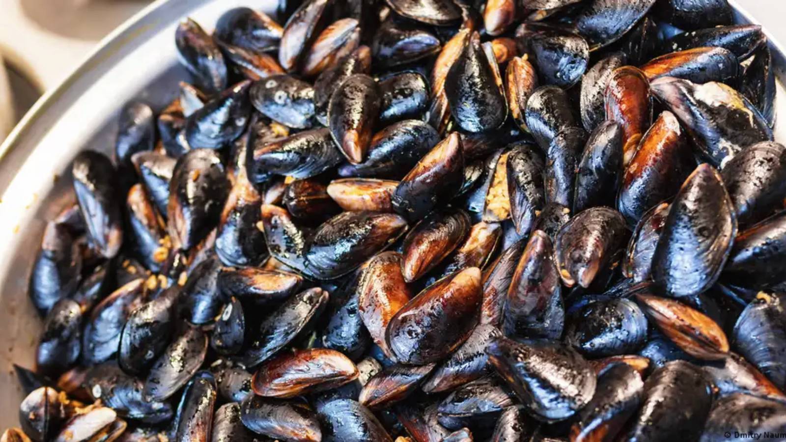 Türkiye’de Gıda Güvenliği Alarmda! Zehirlenmeler Yeni Değil, Sadece Görünür Oldu (1)