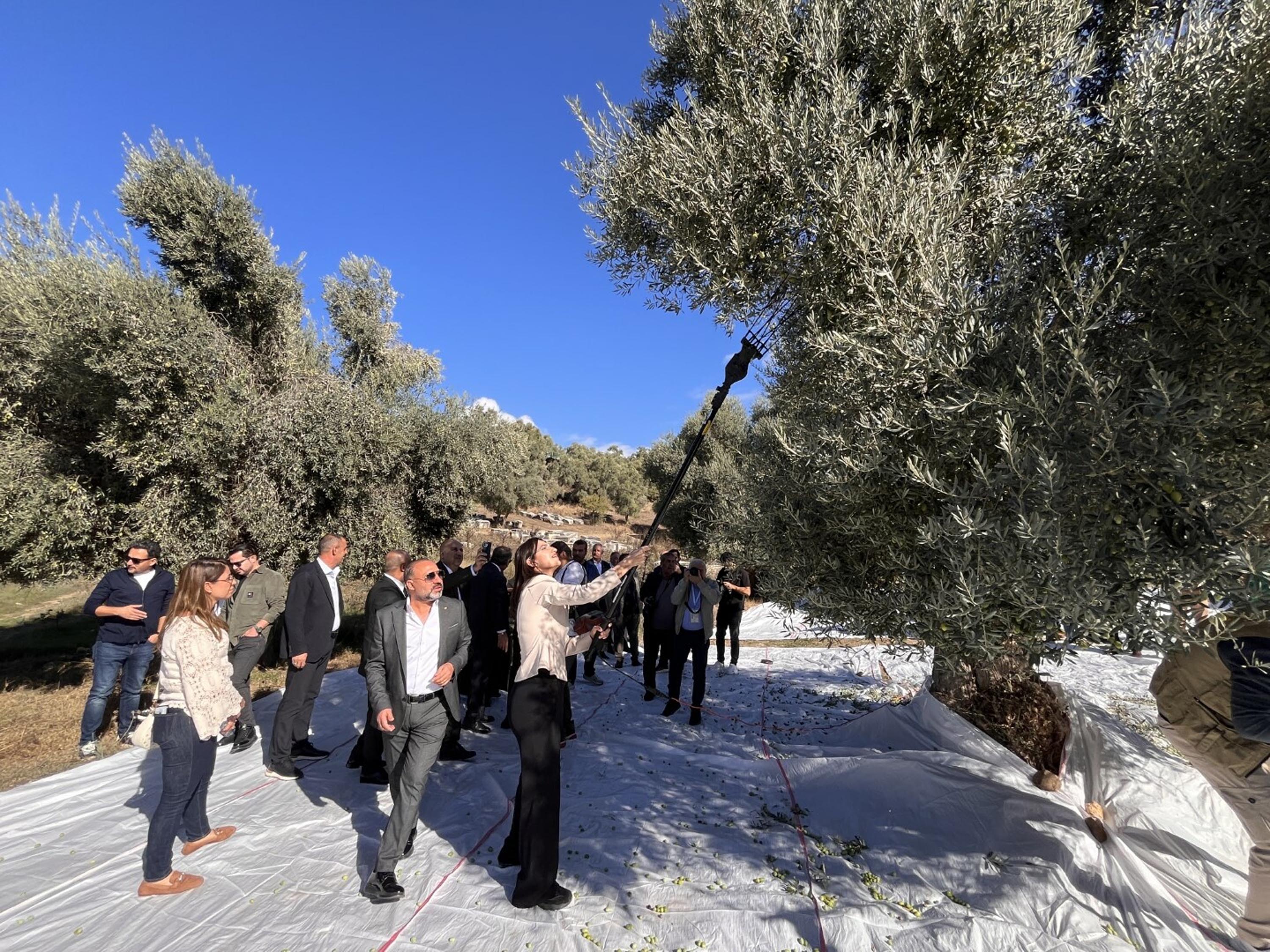 U L U S L A R A R A S I M I L A S Z E Y T I N H A S A T S E N L I G I 1008200 299092