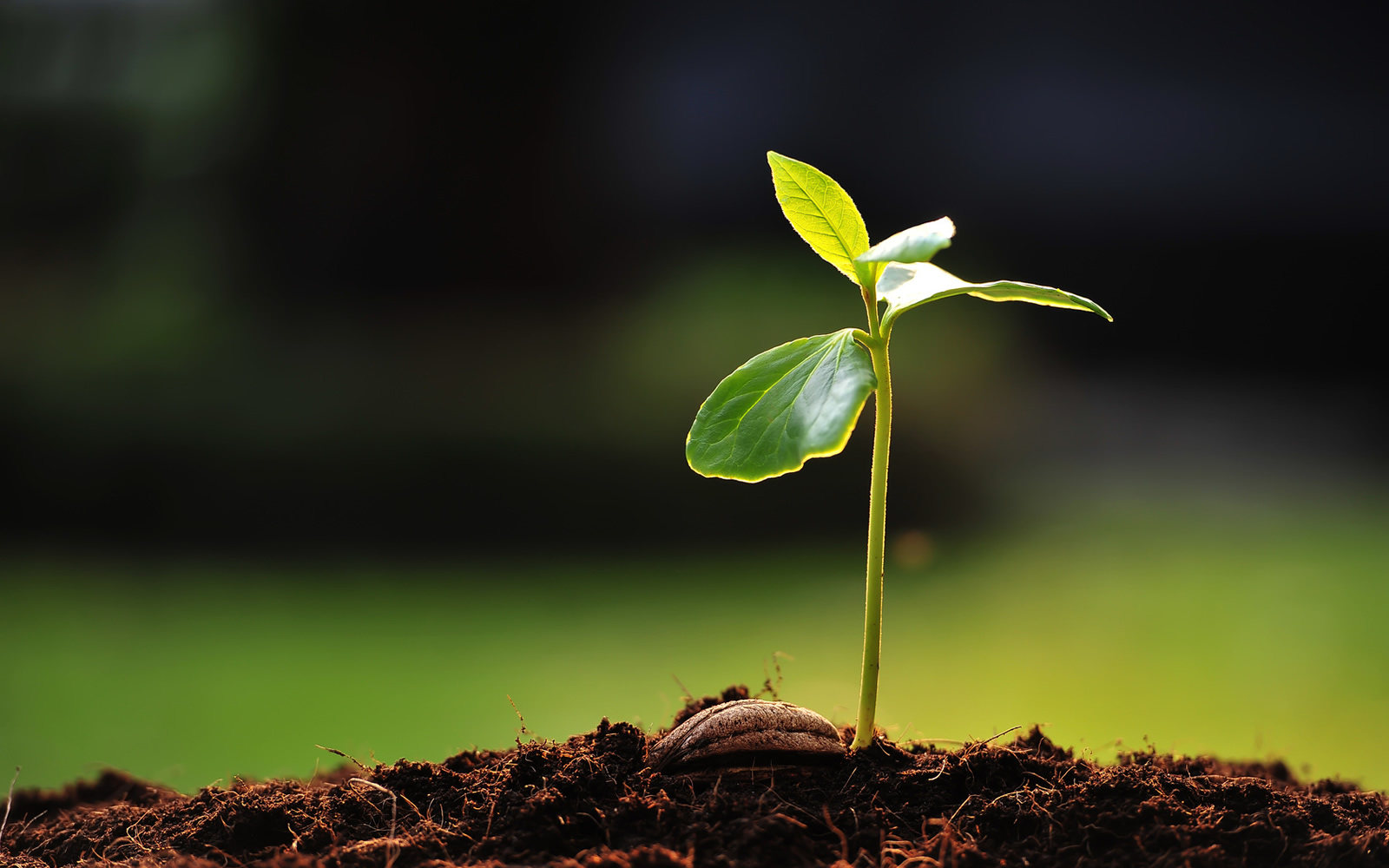 Üretici Ci̇mer (5)