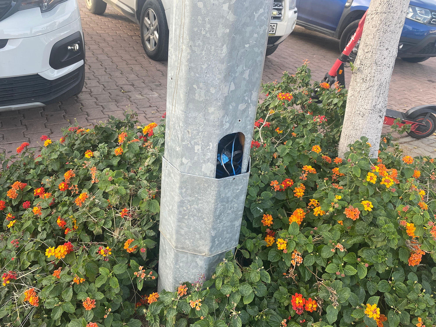 Whatsapp Görsel 2025 11 24 Saat 12.35.05 63Dd6B32