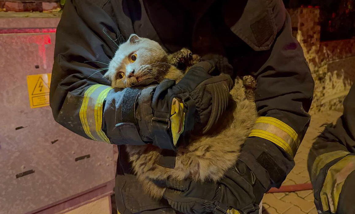 Y A N G I N D A A Y A K L A R I Y A N A N K A D I N I L E K E D I S I 995174 295234