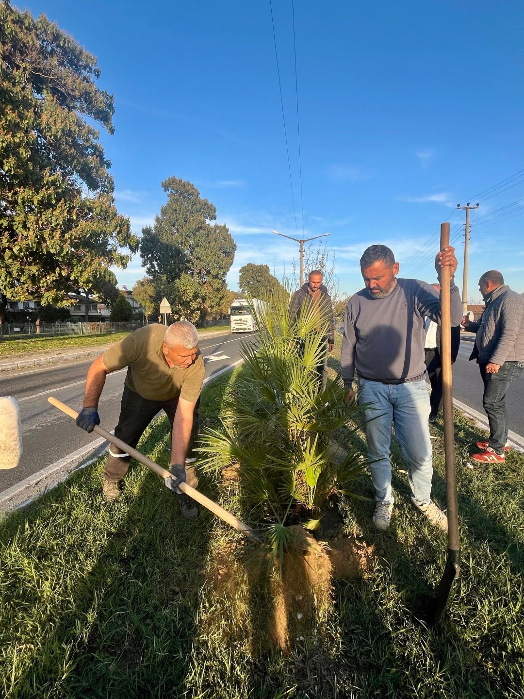 Yeşil Sultanhisar Için Ağaçlandırma Çalışmaları Sürüyor (1)