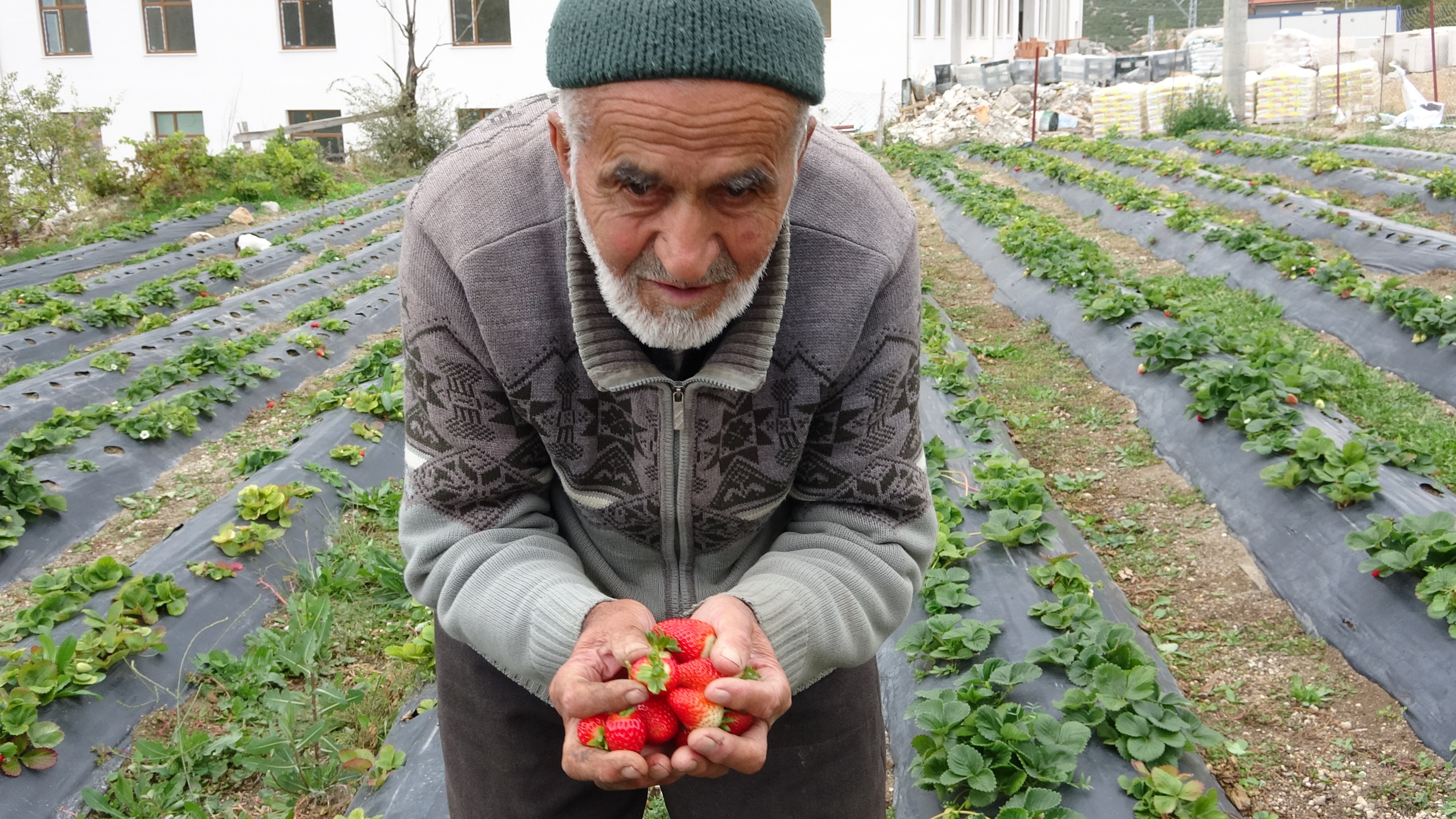 Yetiştirdiği Meyve Ve Sebzeleri Ücretsiz Ikram Ediyor (1)