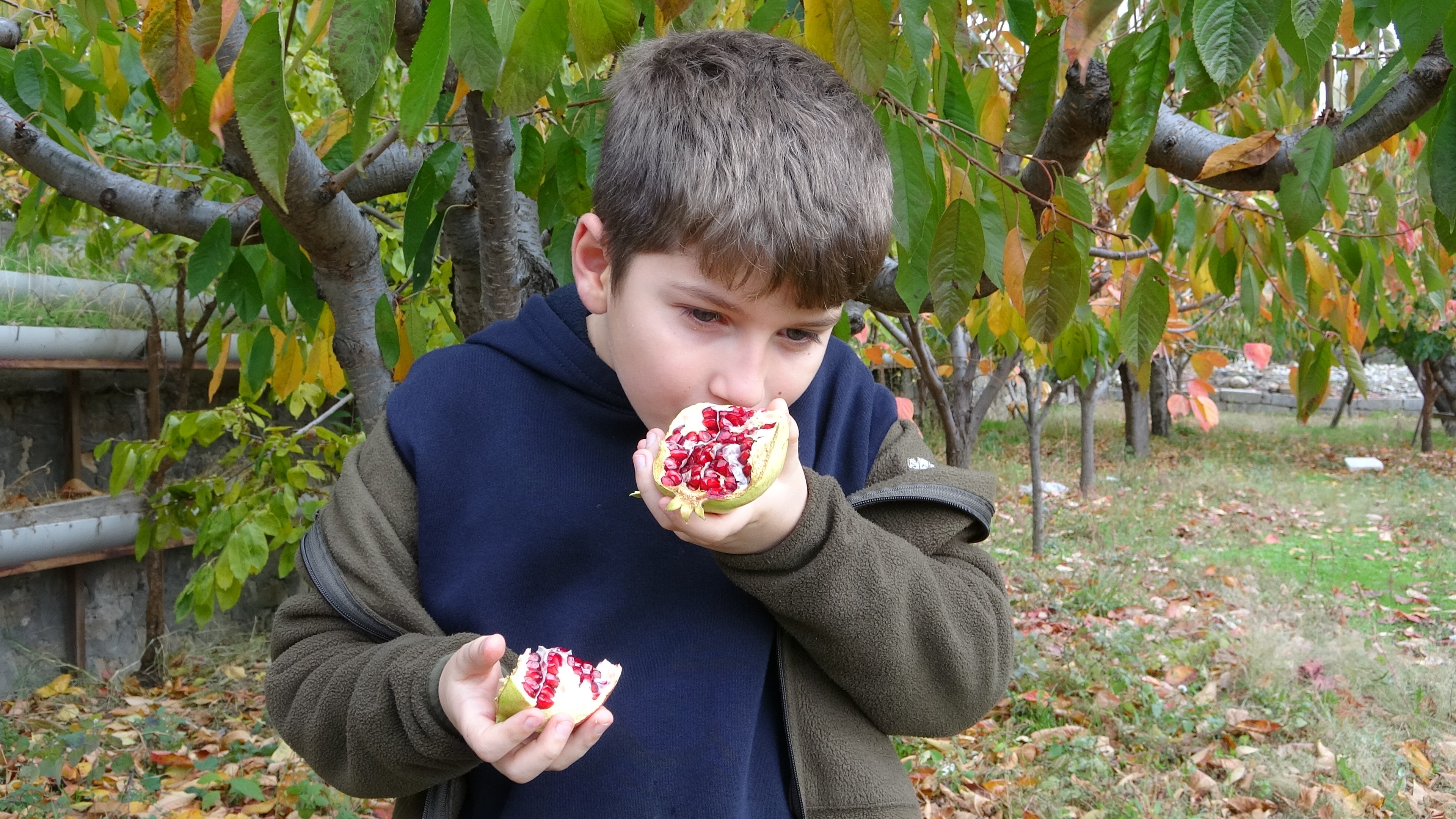 Yetiştirdiği Meyve Ve Sebzeleri Ücretsiz Ikram Ediyor (2)