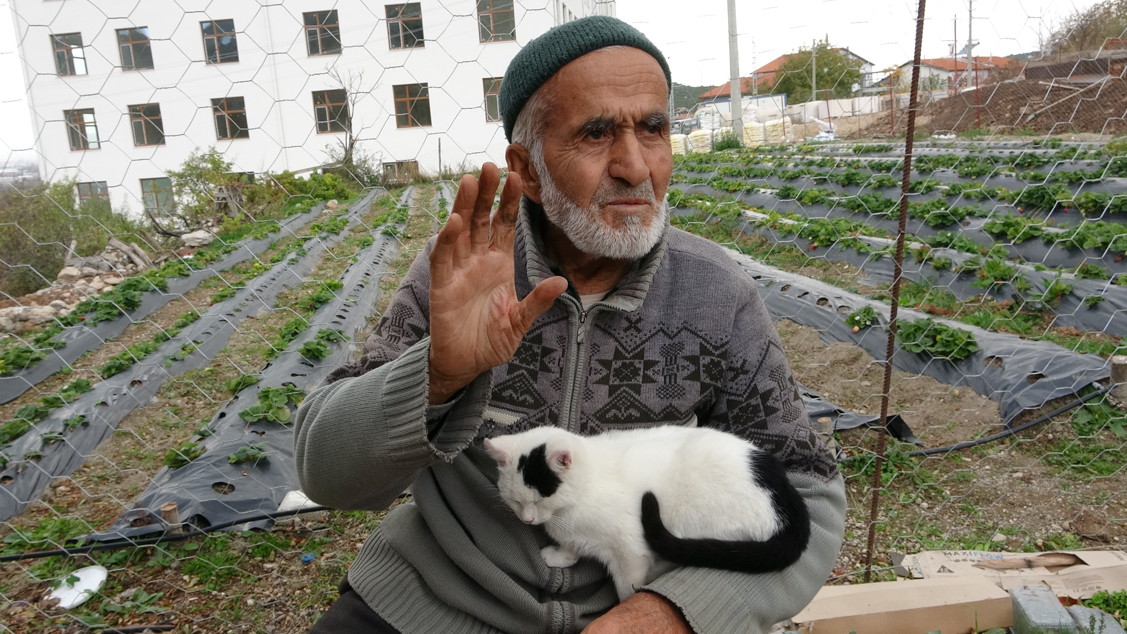 Yetiştirdiği Meyve Ve Sebzeleri Ücretsiz Ikram Ediyor (5)