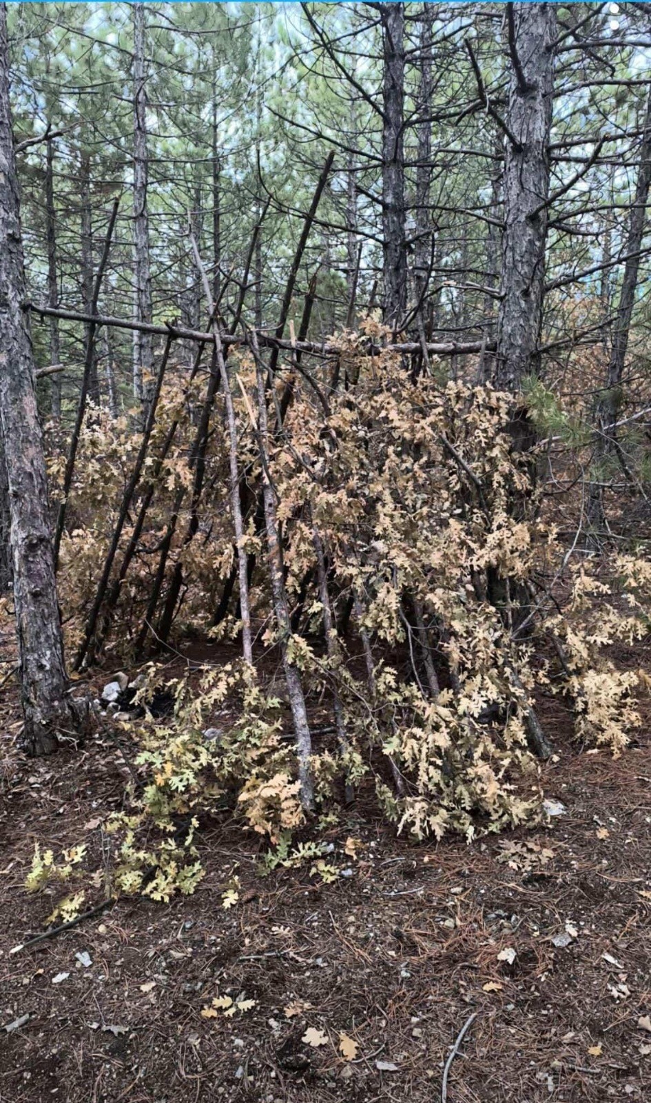 15 Yasindaki Cocugun Cansiz Bedeni Bulundu (2)