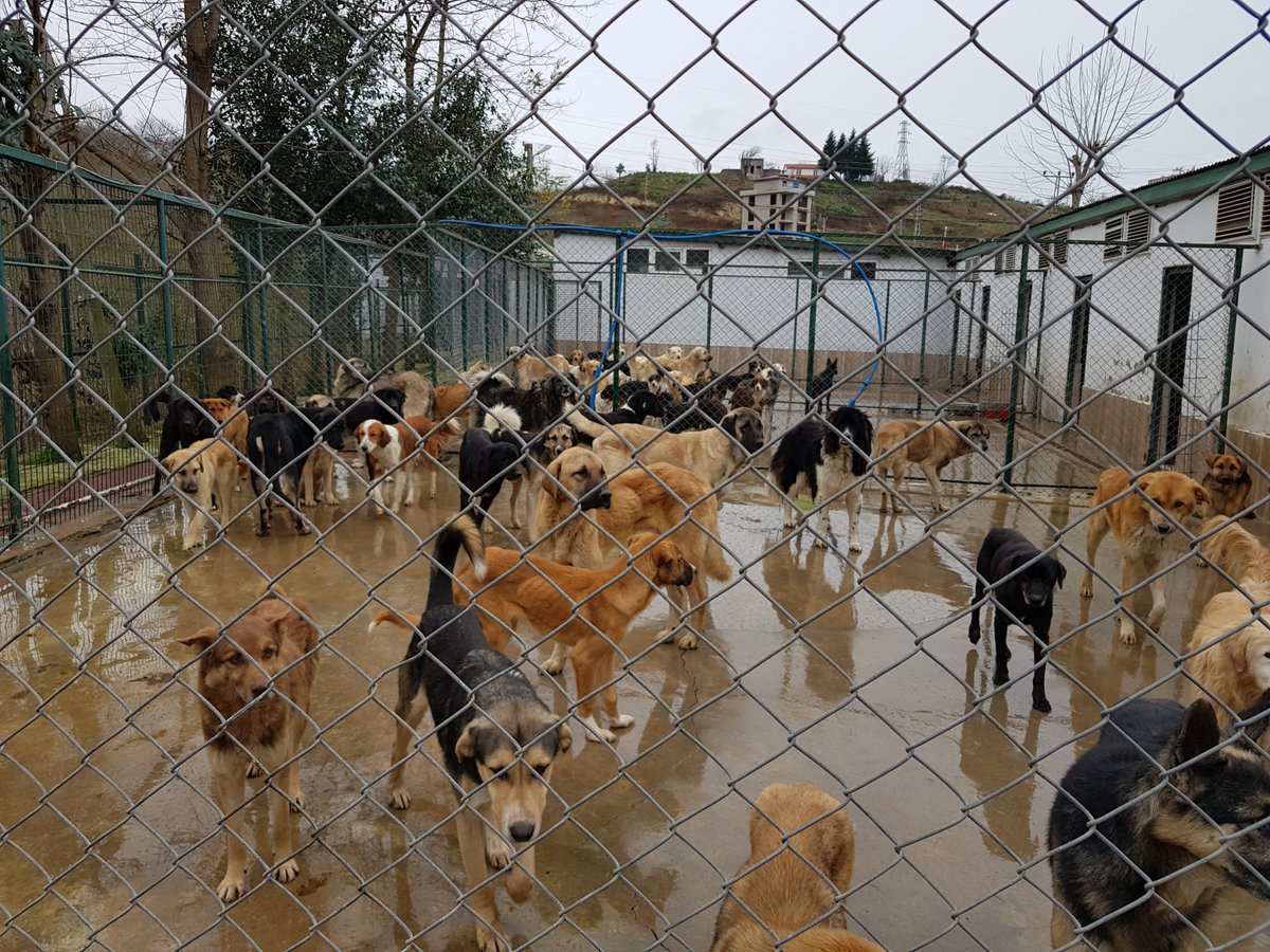 Aksu Belediyesi’nden Dikkat Çeken Ihale (2)