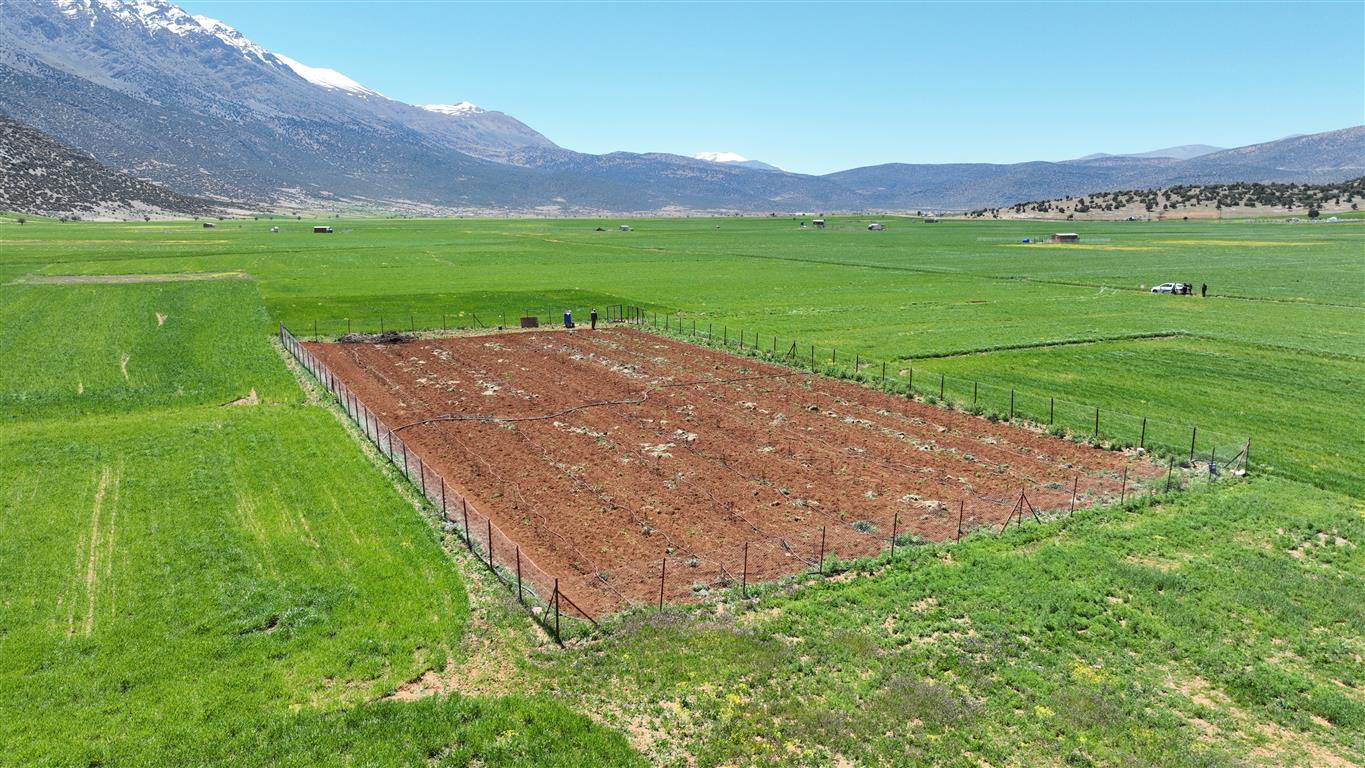 Antalya Büyükşehir Belediyesi’nden Büyük Destek (1) (Medium)