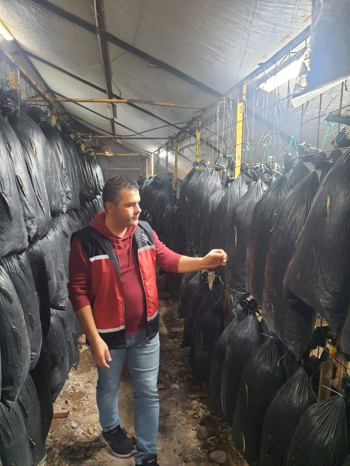 Antalya Tarımında Verimlilik Hamlesi... Serik Ve Aksu'da Çifte Mesai! (1)