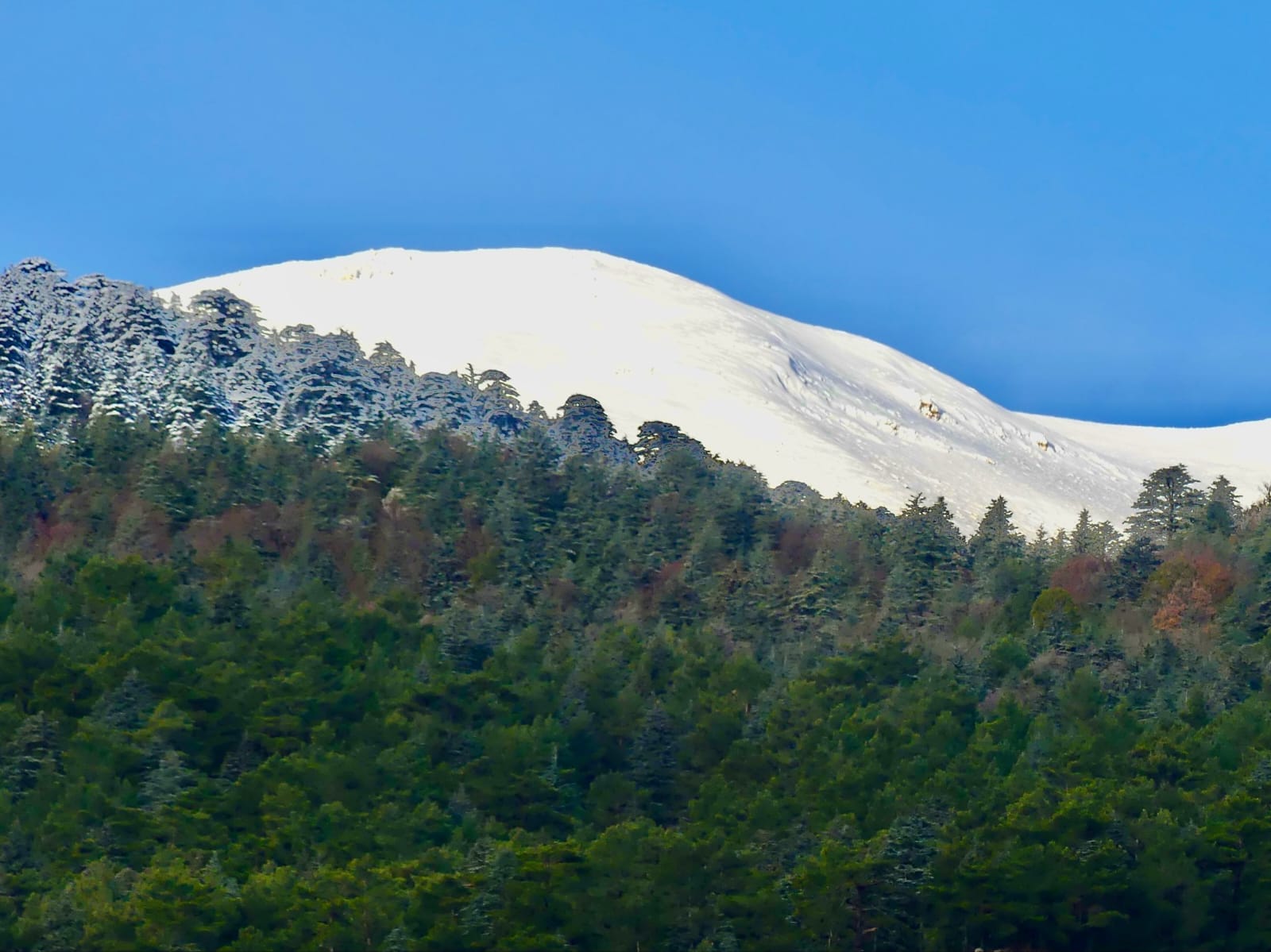 Antalyada Buyuleyen Manzara (2)