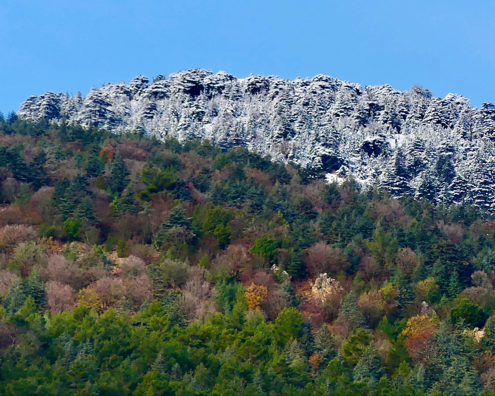 Antalyada Buyuleyen Manzara (3)
