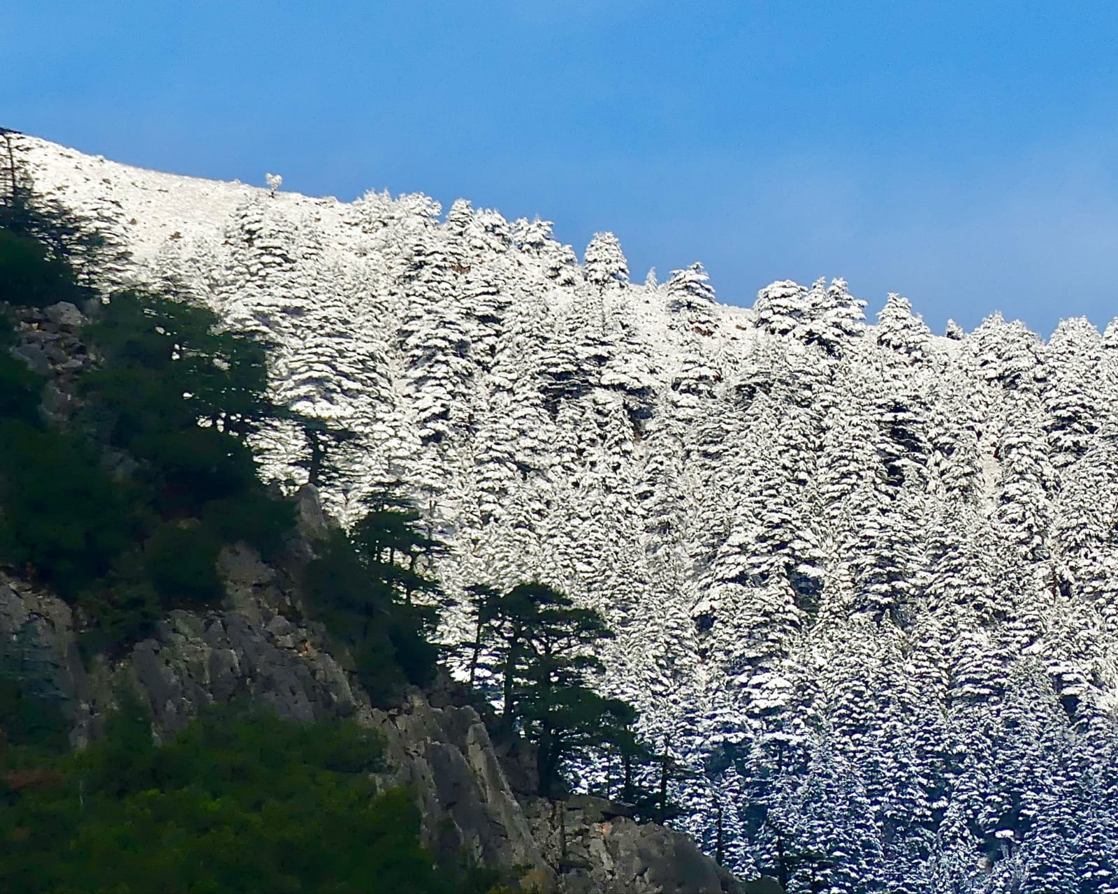 Antalyada Buyuleyen Manzara (4)