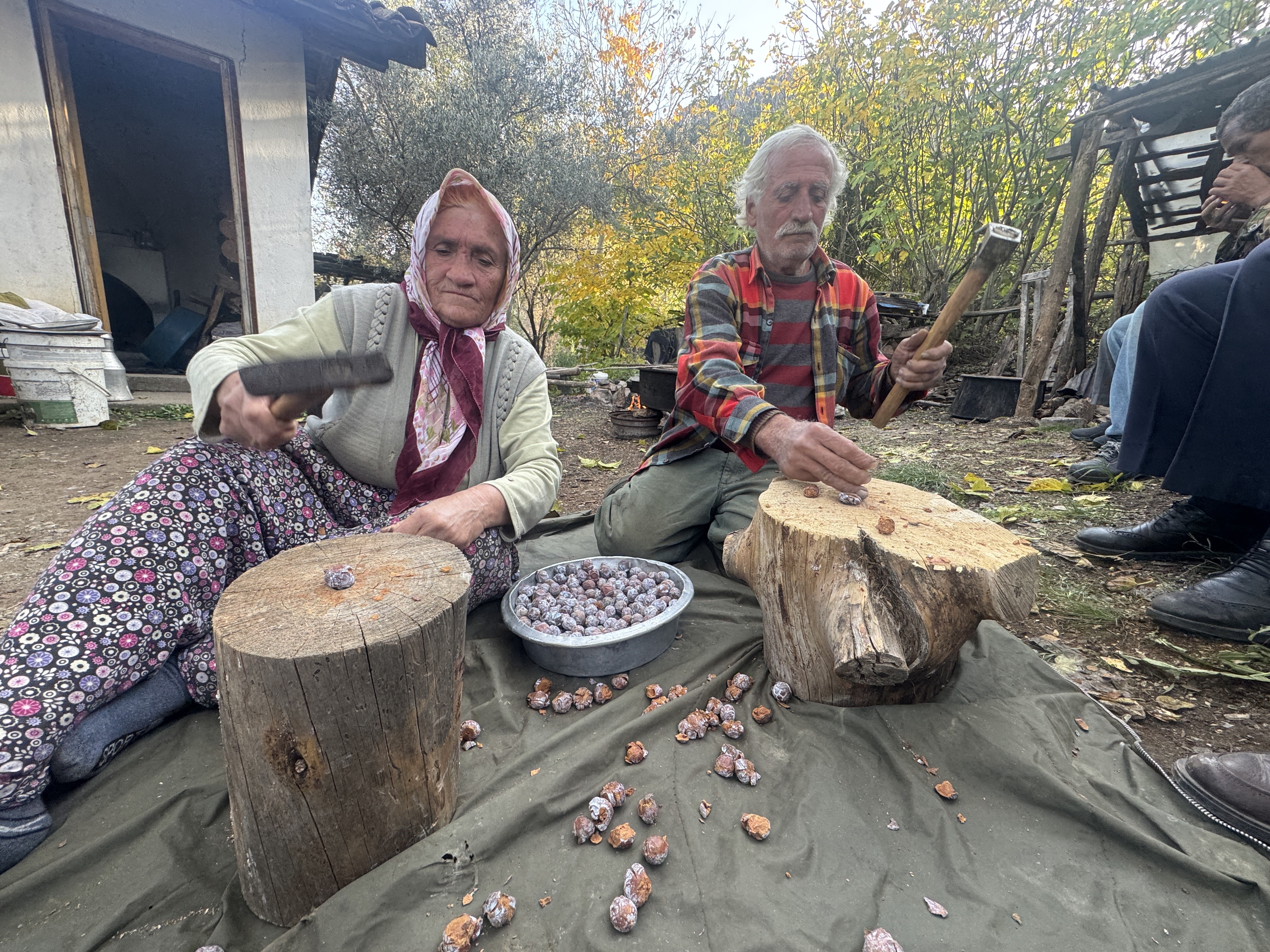 Antalya’da Iki Kardeş Toros Dağları’nda Kozalaktan Şifa Kaynatıyor! Andız Pekmezi 500 Tl’de Satılıyor (1)