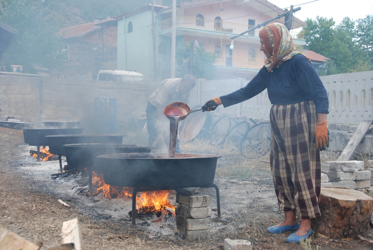 Antalya’da Iki Kardeş Toros Dağları’nda Kozalaktan Şifa Kaynatıyor! Andız Pekmezi 500 Tl’de Satılıyor (2)