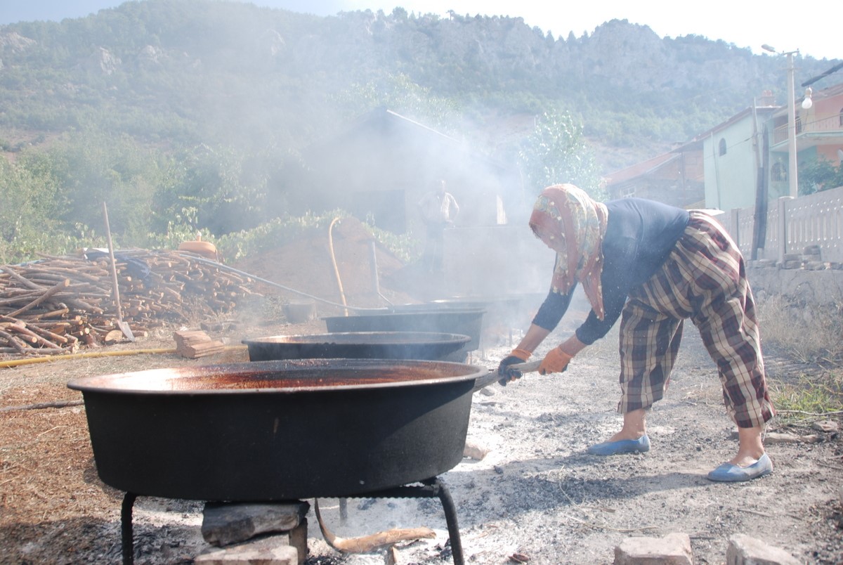 Antalya’da Iki Kardeş Toros Dağları’nda Kozalaktan Şifa Kaynatıyor! Andız Pekmezi 500 Tl’de Satılıyor (5)