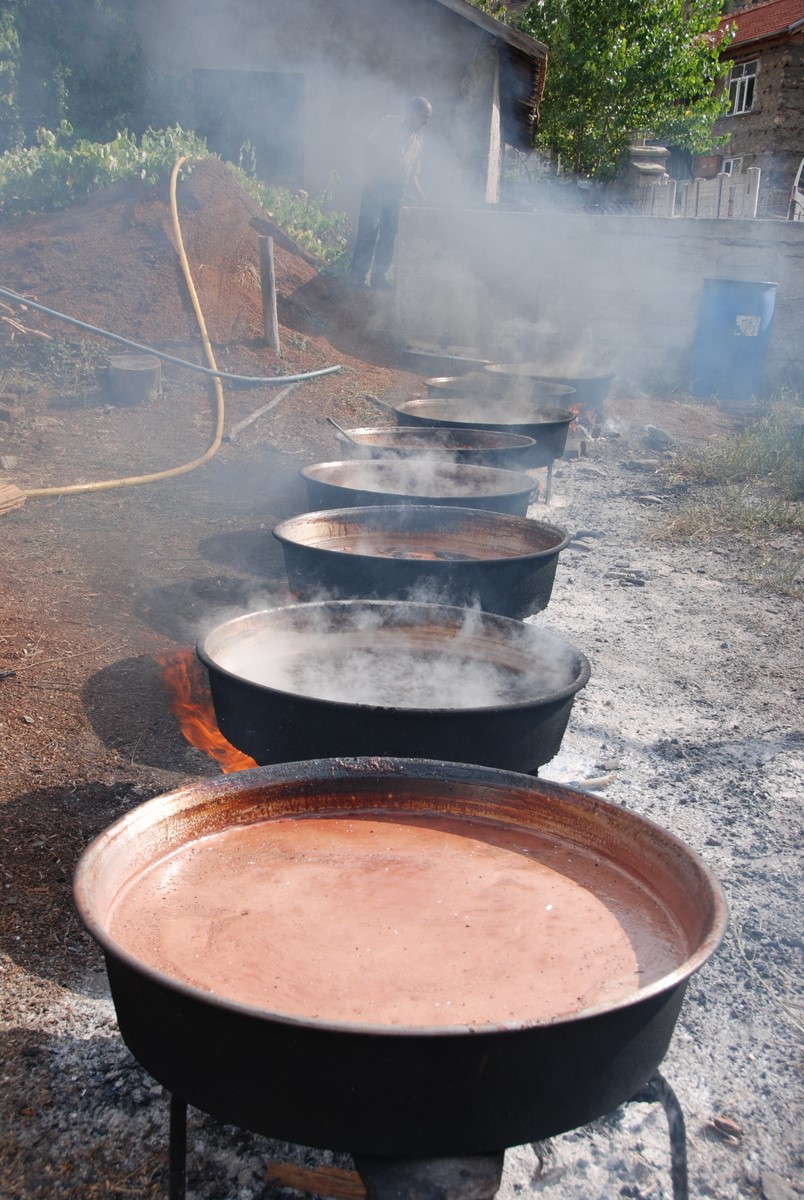 Antalya’da Iki Kardeş Toros Dağları’nda Kozalaktan Şifa Kaynatıyor! Andız Pekmezi 500 Tl’de Satılıyor (6)